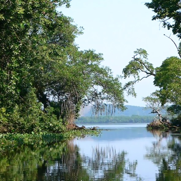 Visistar la Laguna de Sontecomapan